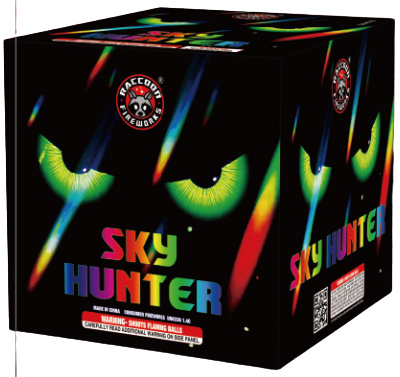 Sky Hunter